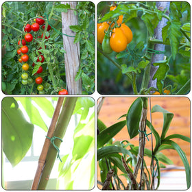 YDSL green twist garden ties blend into foliage for discreet plant support.