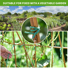 YDSL indoor/outdoor use green garden tie for versatile organization.