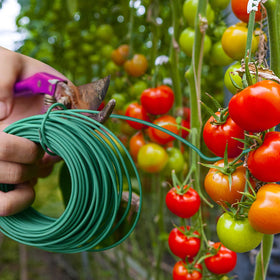 Inner metal cord in YDSL plant tie for durable outdoor use