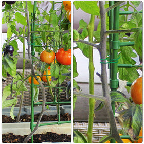 YDSL plant-tie diameter 2-5mm ideal for flexible, secure garden fixes.