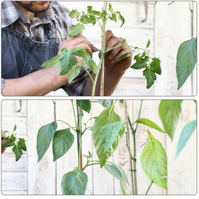 YDSL rubber outer shell protects plants and fences during tying.