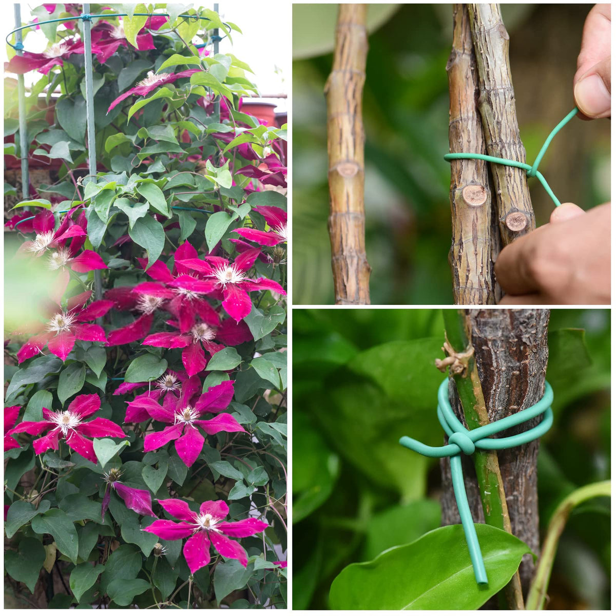YDSL vines tie for trellising and neat garden organization.