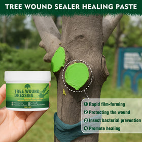 Yeardera fruit tree wound sealer in use to prevent sap and moisture loss.