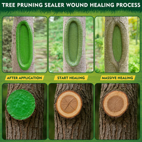 Yeardera natural tree sealer applied with quick, even coverage.