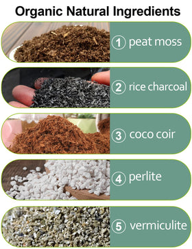 Yecna peat moss enhances orchid media with airy texture and water retention.