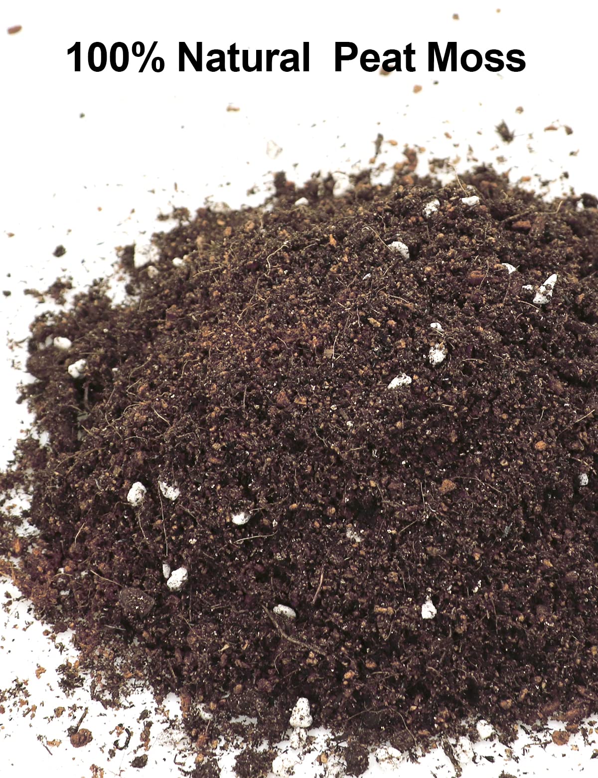 Yecna sphagnum peat moss creates a well-draining mix for succulents and cactus.