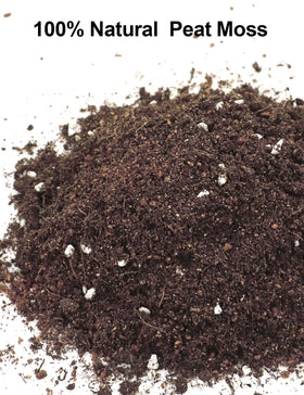 Yecna sphagnum peat moss creates a well-draining mix for succulents and cactus.