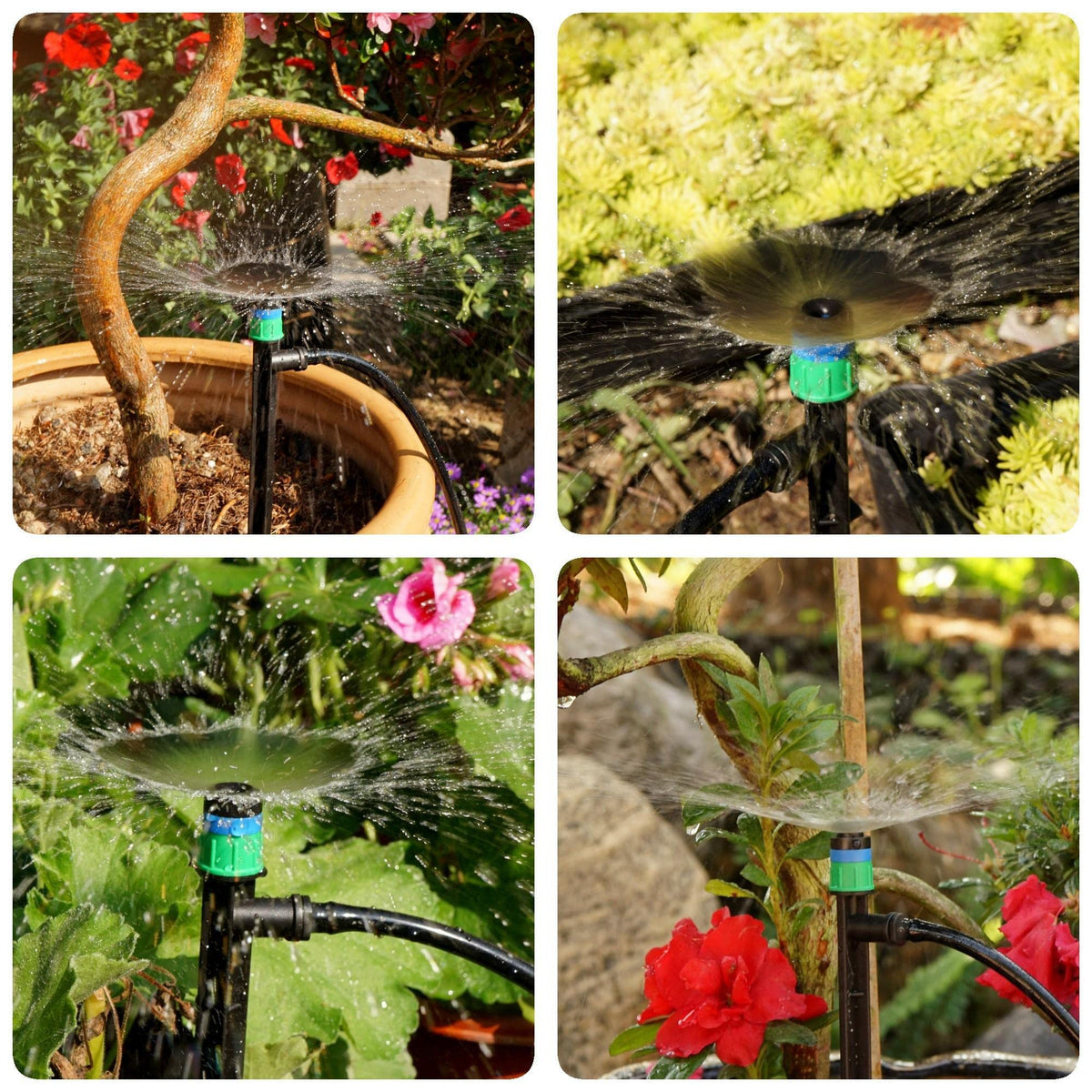 Yeedoox suitable for pots garden beds greenhouse and more.
