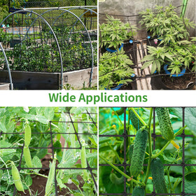 Yeestone heavy-climbing plants benefit from solid, adjustable support for cucumbers and tomatoes.
