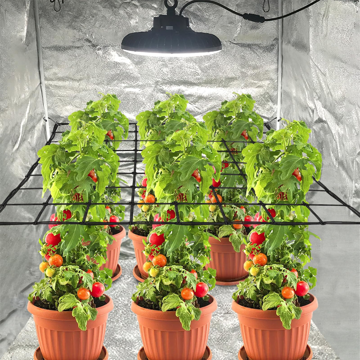 yeestone trellis netting 8 hooks included enables fast mounting.