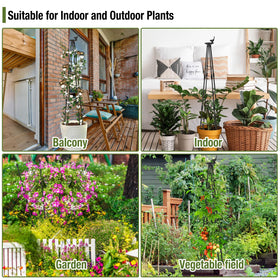 Yeghujar 4ft trellis fan shape expands space for vines and blooms