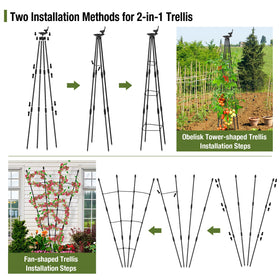 Yeghujar vertical support keeps tomatoes upright and tidy
