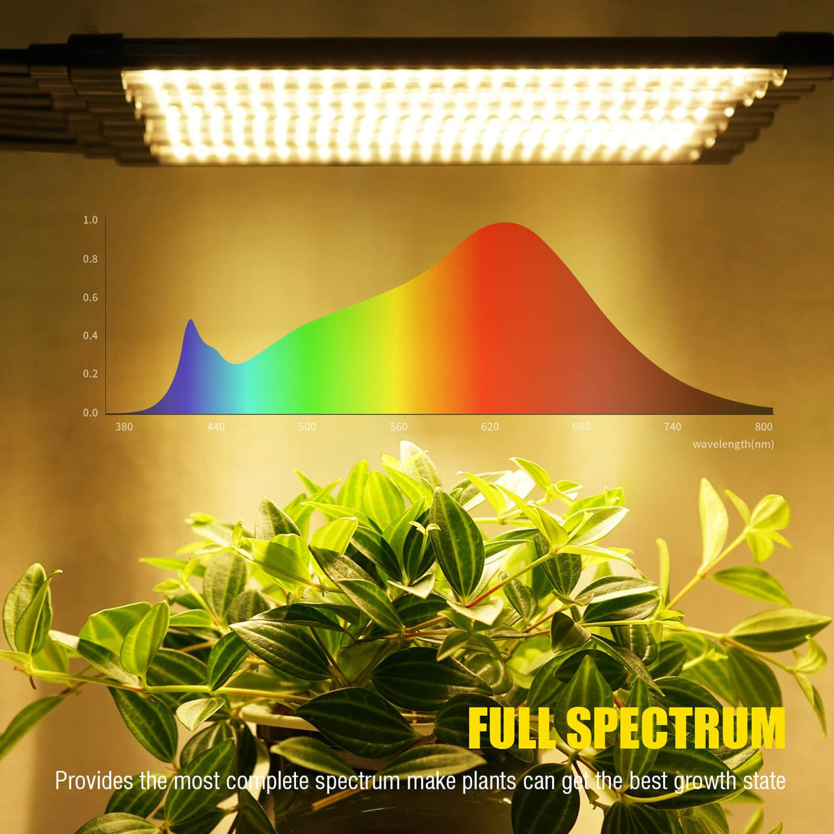 Yehsence full spectrum mimics natural sunlight, helping foliage and succulents flourish indoors.