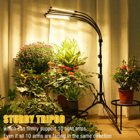 Yehsence Grow Lights with tripod stand offer stable positioning for year-round growth.