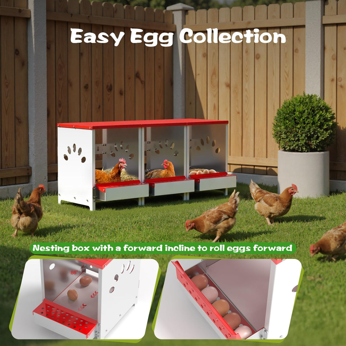 YENAM nest box with swing perch for comfortable laying.
