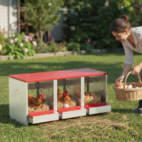 YENAM individual compartments provide privacy and reduce pecking during laying.