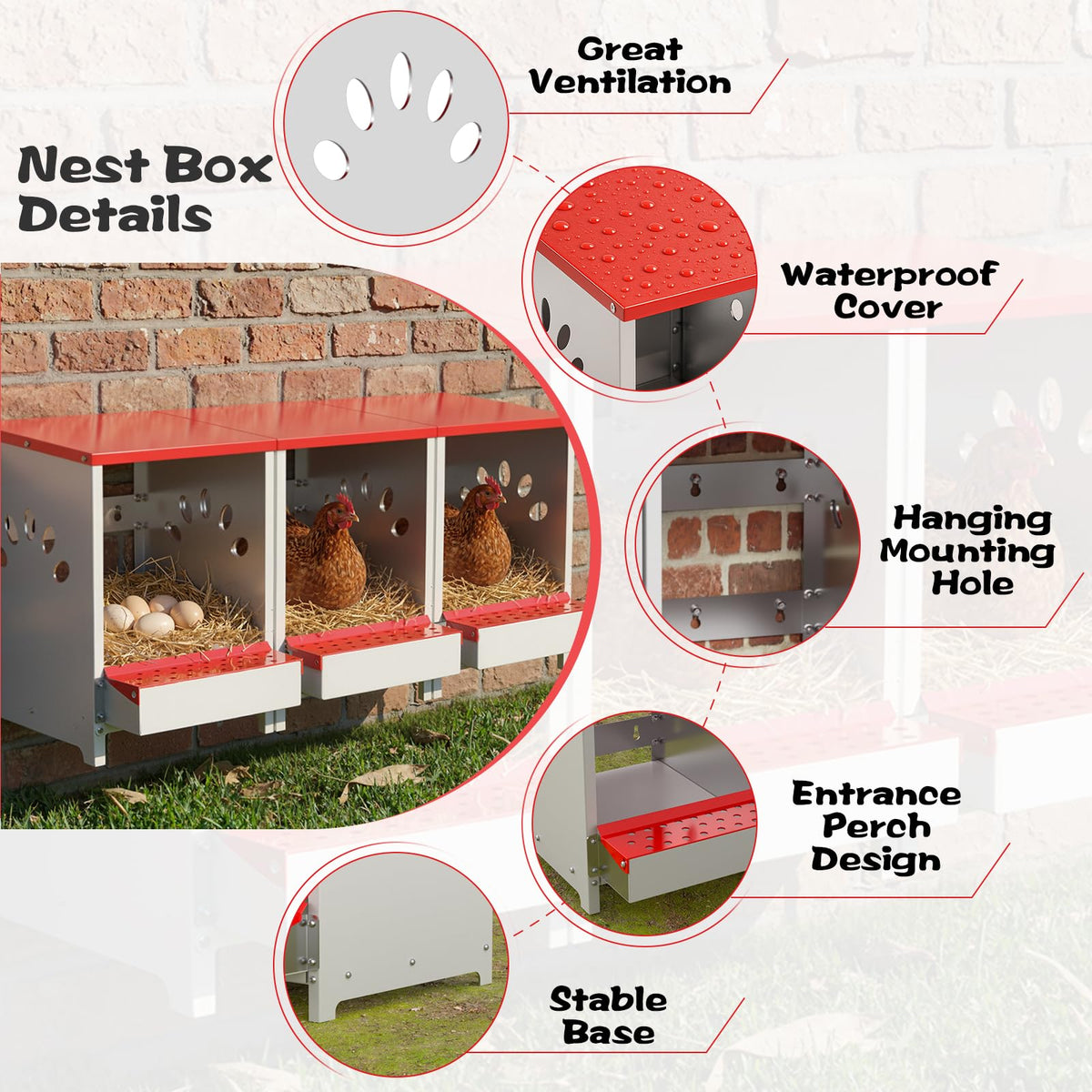 YENAM roll-away egg collection feature keeps eggs clean during harvest.