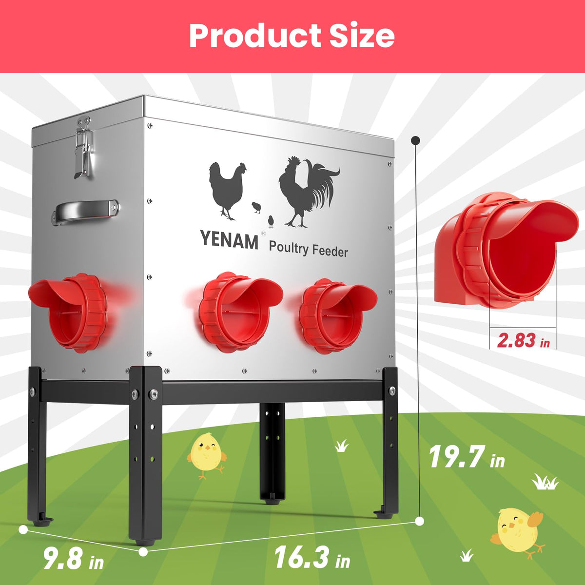 YENAM six-port feeder design allows multiple birds to feed simultaneously.