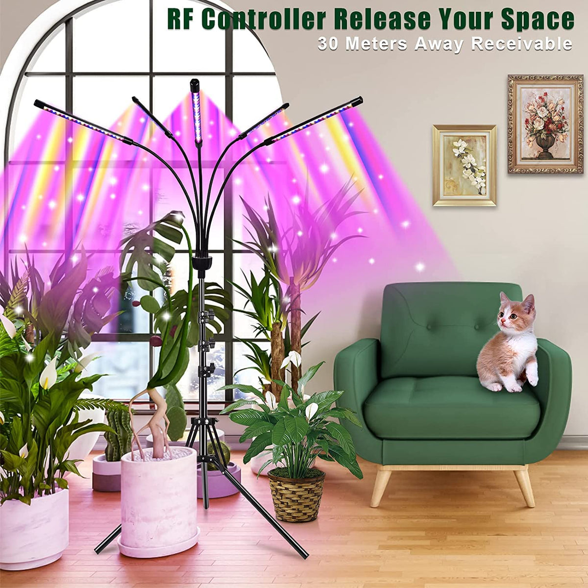 Yentbokj grow lights ideal for indoor plant setups in dim spaces