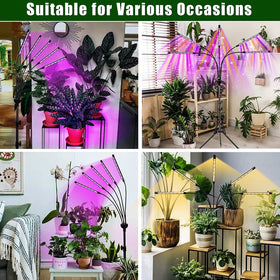 Yentbokj grow lights timer settings for automated cycles