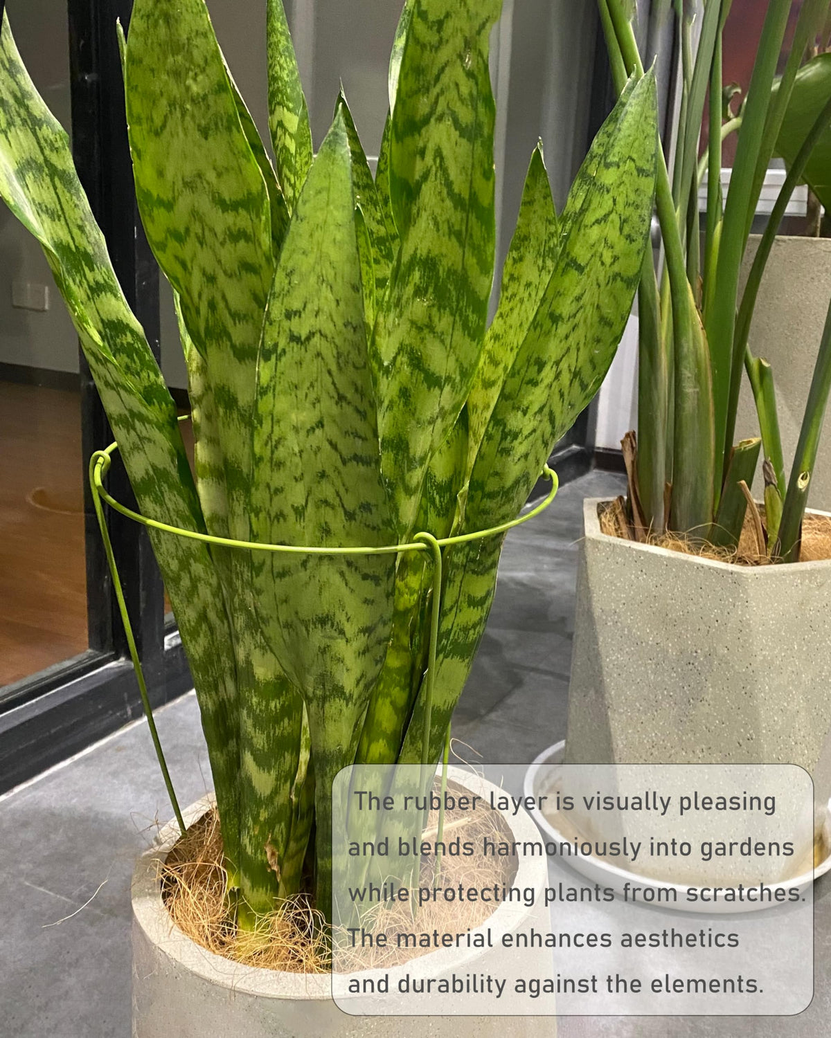 YEOAUM optimized growth support reduces stem stress in pots