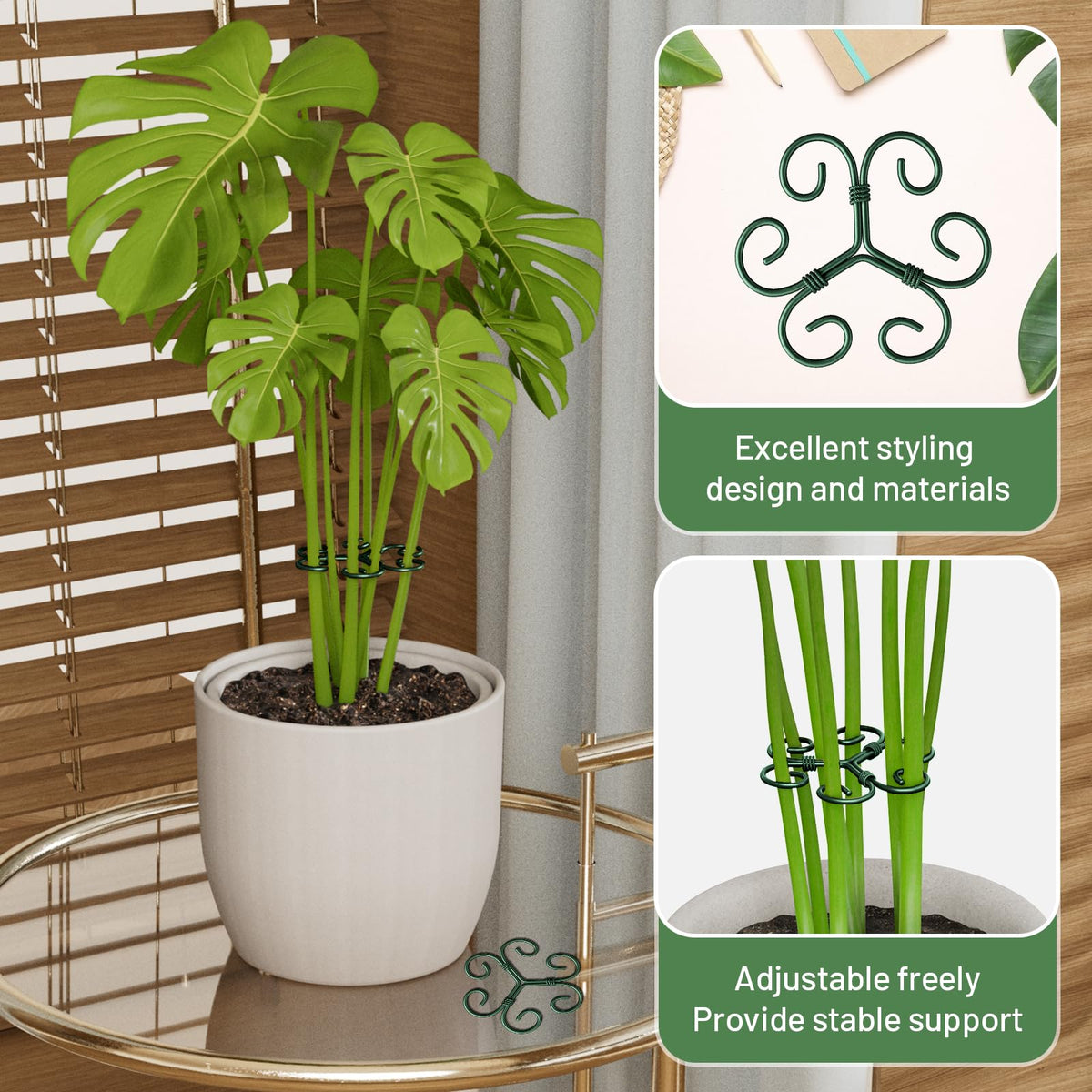 Yeomant green-iron-plant-trellis promotes steady growth in homes