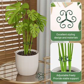 Yeomant green-iron-plant-trellis promotes steady growth in homes