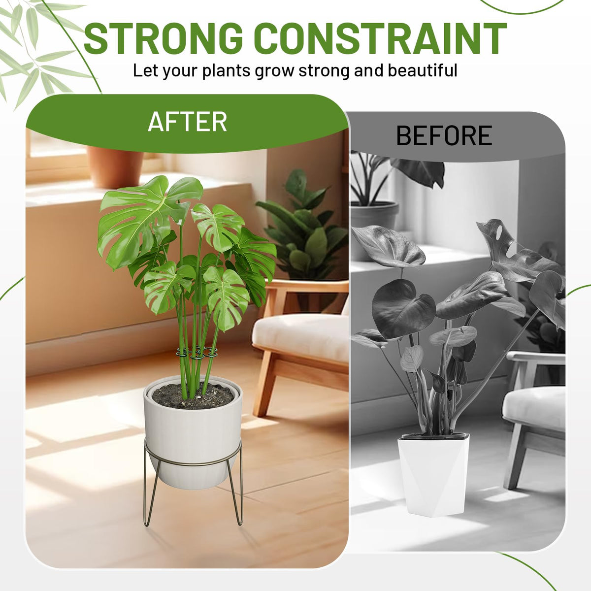 Yeomant monstera grip holders protect delicate climbing stems
