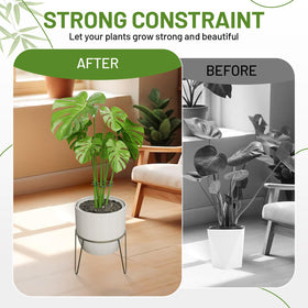 Yeomant monstera grip holders protect delicate climbing stems