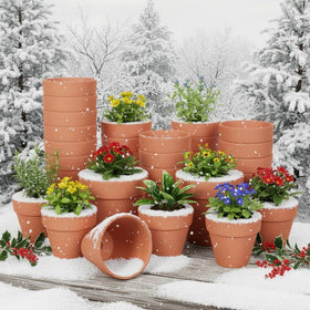 YESIACE pots with succulents creating a tidy display.