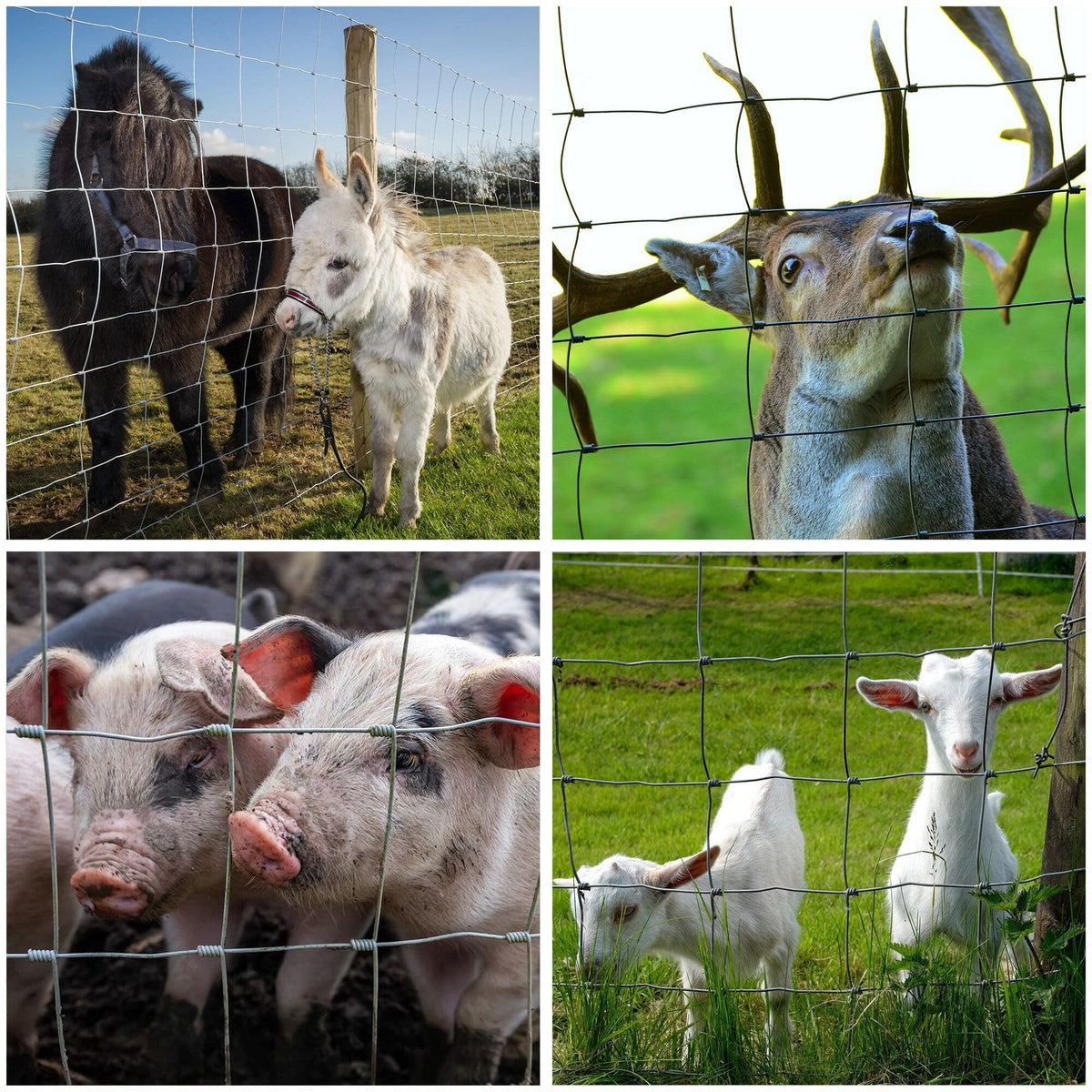 YESON customer service support image highlights responsive fencing assistance.
