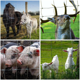 YESON customer service support image highlights responsive fencing assistance.