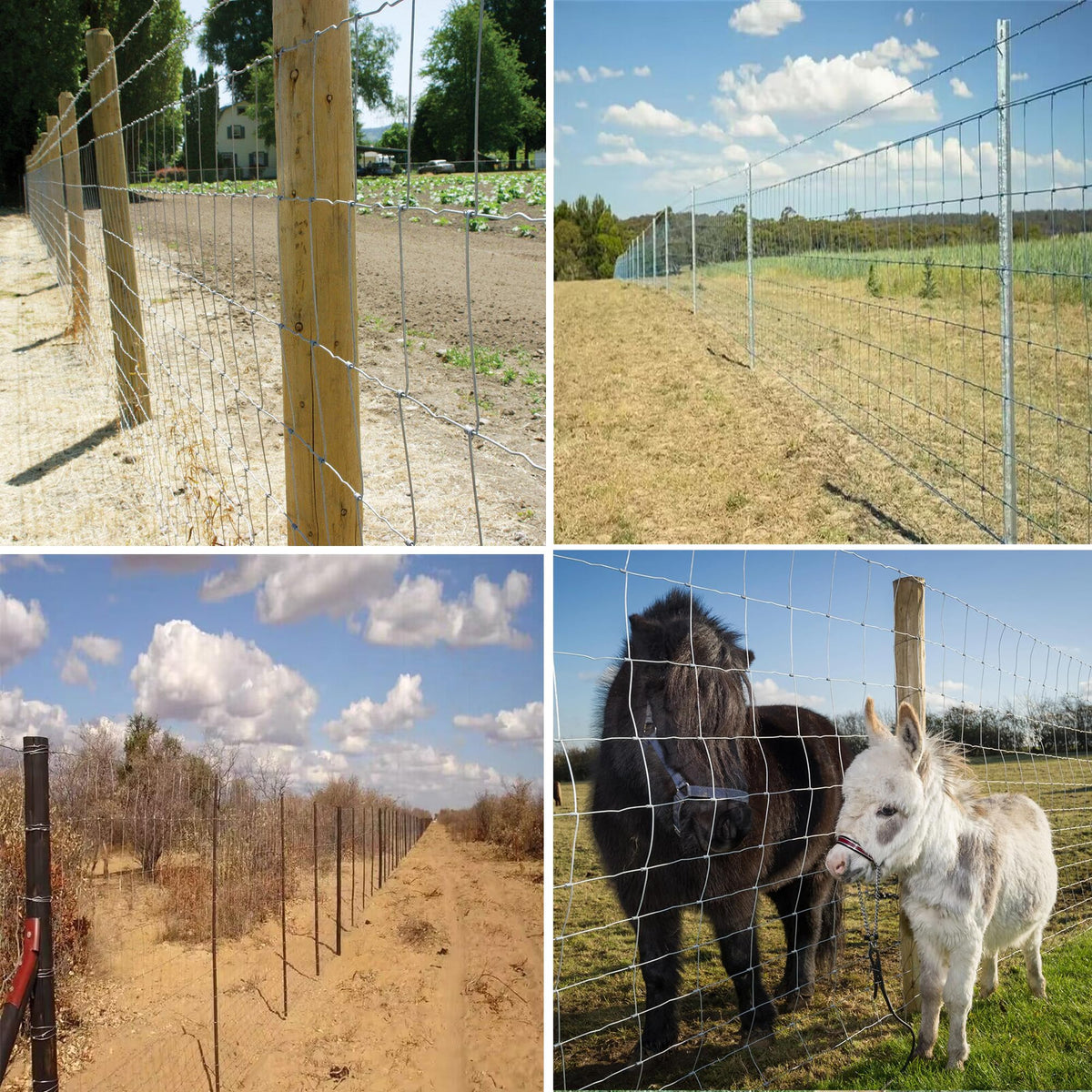 YESON garden-yard installation image shows fence guarding poultry and pets.