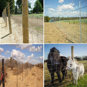YESON garden-yard installation image shows fence guarding poultry and pets.