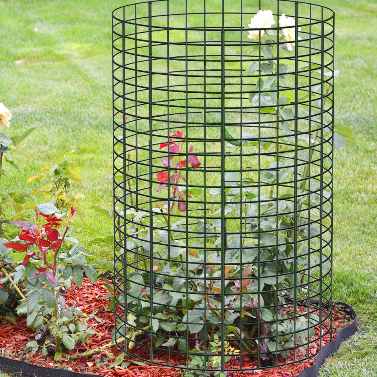 YEXEXINM complete package includes cages, stakes, and ties