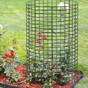 YEXEXINM complete package includes cages, stakes, and ties