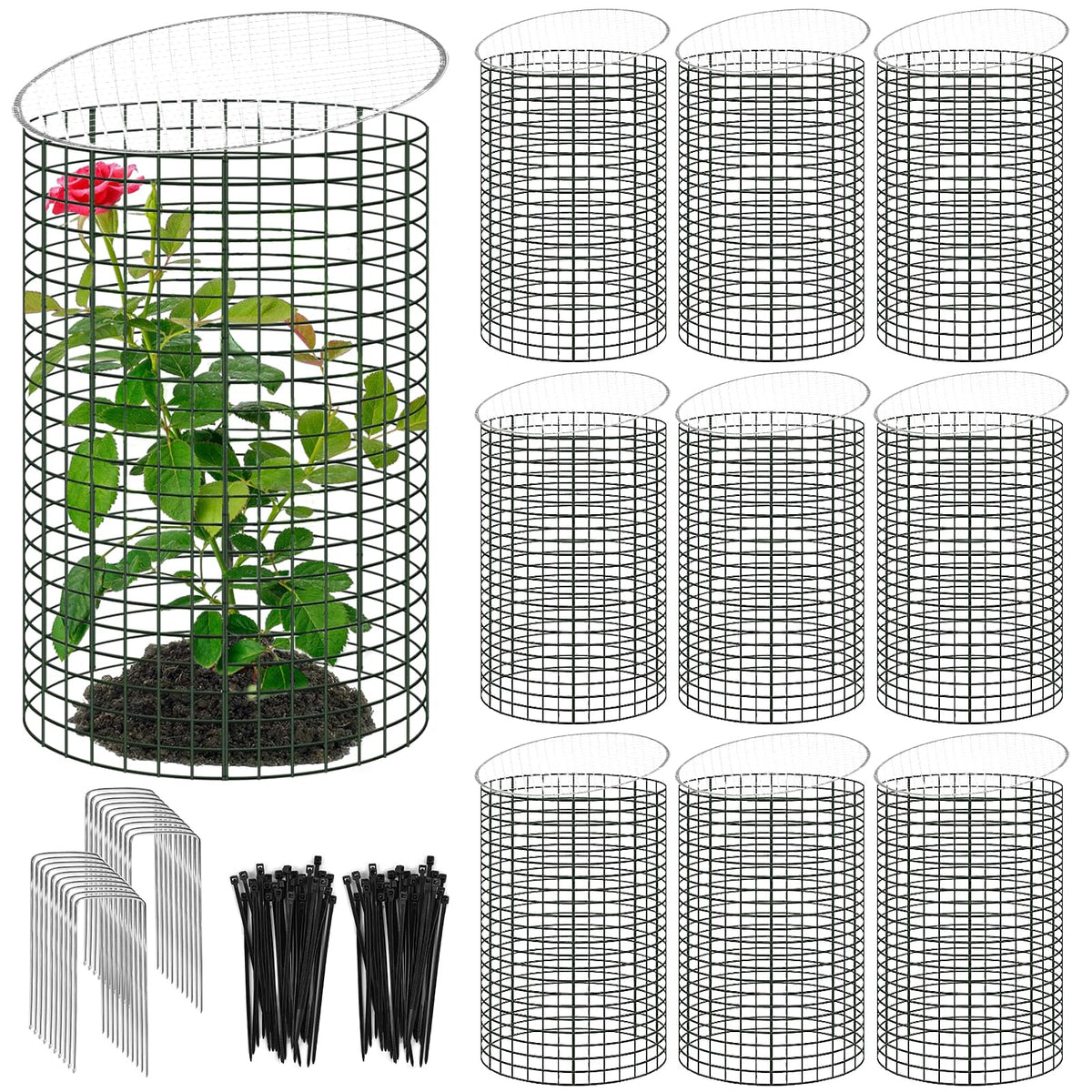 YEXEXINM plant protector cylinder assembly shields seedlings while allowing light exposure