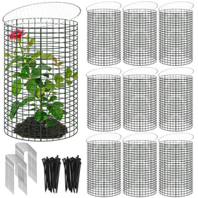 YEXEXINM plant protector cylinder assembly shields seedlings while allowing light exposure