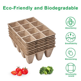 YFANITI biodegradable peat tray ready for soil transplant