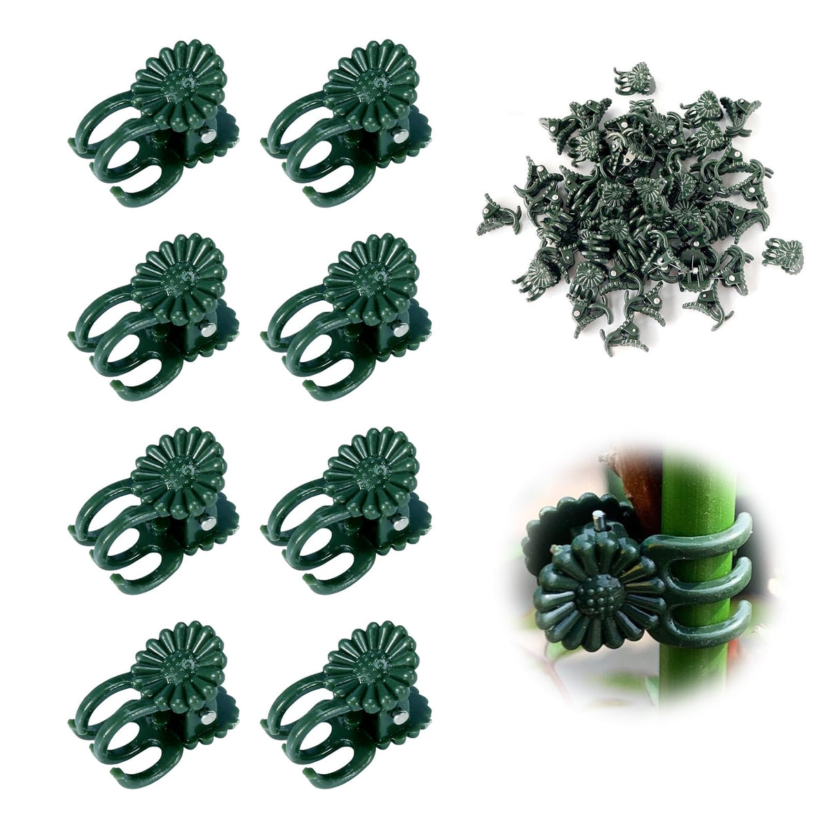 YFANITI orchid clips secure delicate stems for upright growth