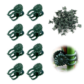 YFANITI orchid clips secure delicate stems for upright growth