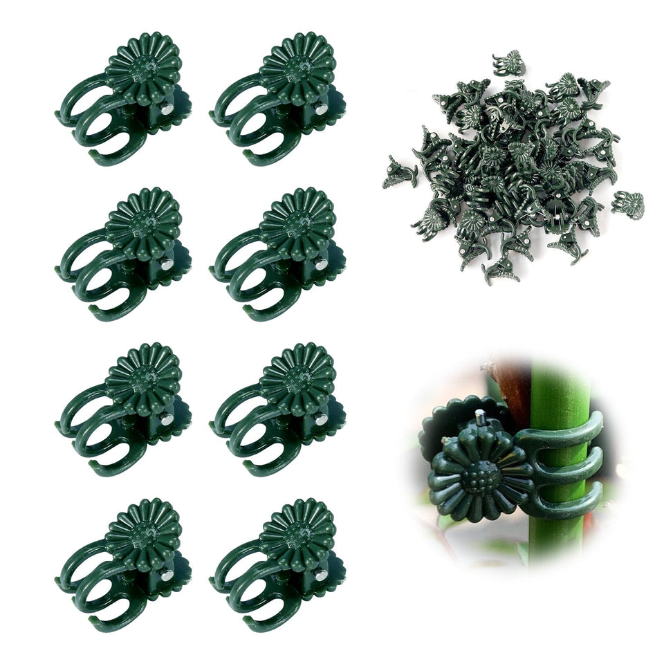 YFANITI orchid clips secure delicate stems for upright growth