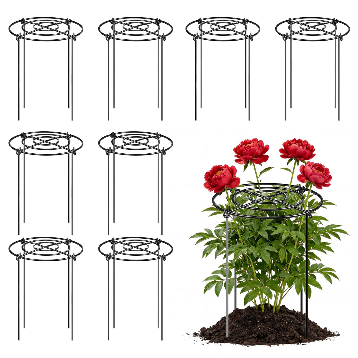 YHLYUZZ Peony cage grid-top view for sturdy growth support