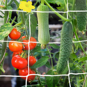 YHmall trellis netting with 6-inch square mesh for sturdy climbing plant support