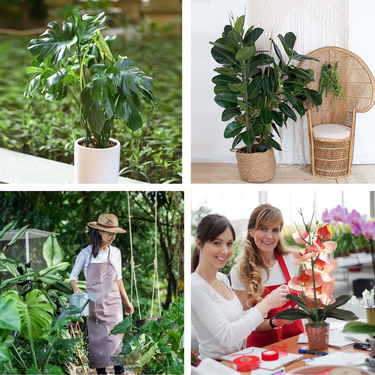 Yhtpouqe durable plastic plant sticks protect roots and provide steady support
