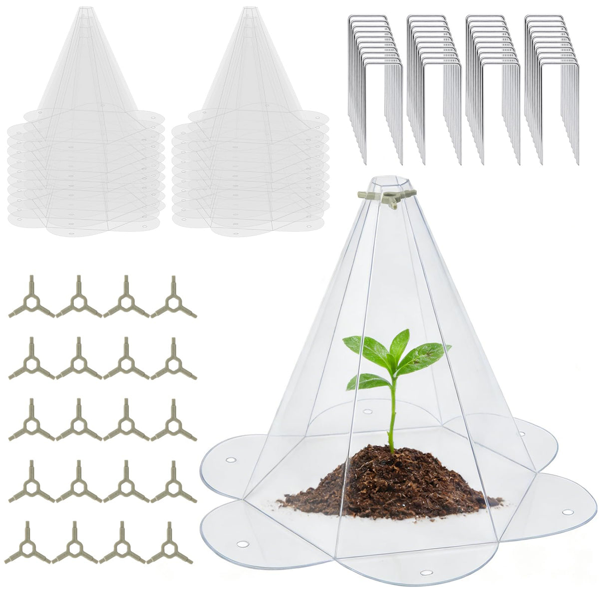 Yhtpouqe garden cloche with clear cover protecting tomato seedlings for healthy growth