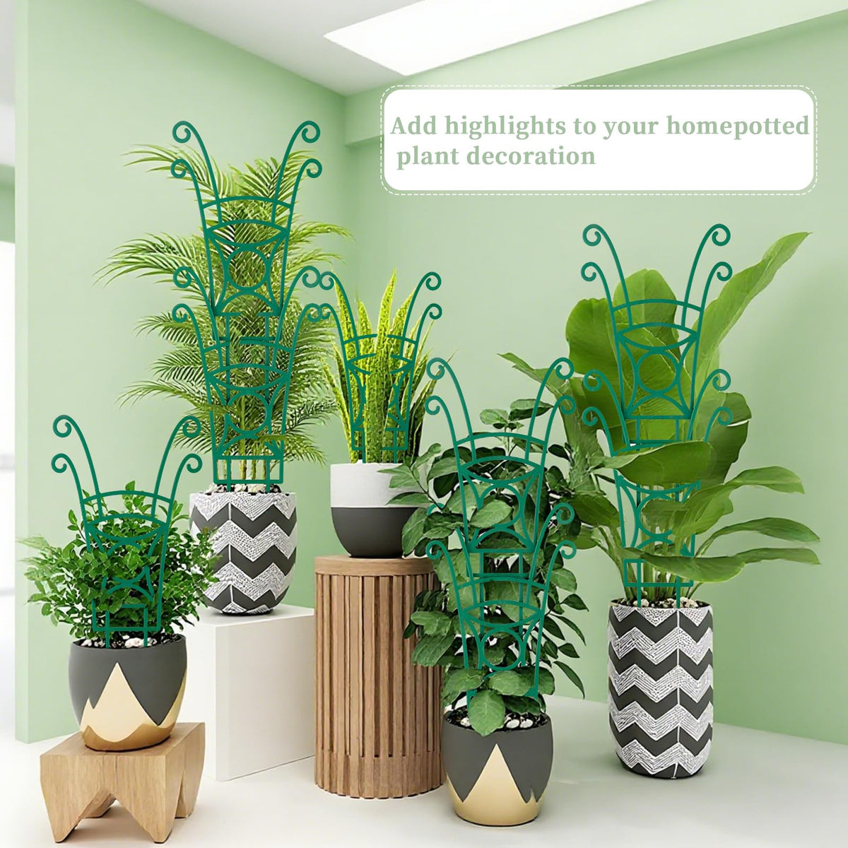 Yhtpouqe gift-box included trellis set makes a ready-to-gift kit.