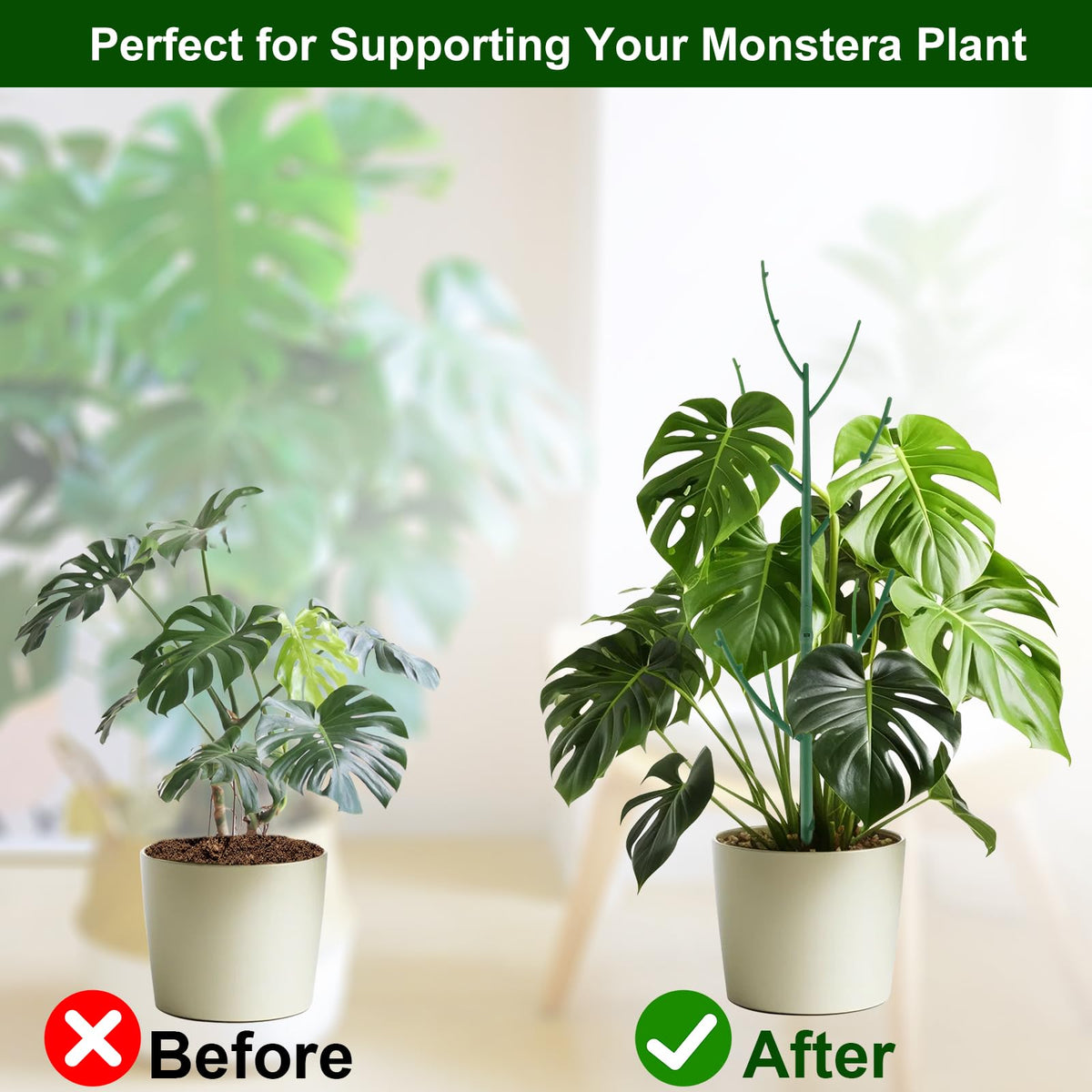 Yhtpouqe indoor-outdoor garden accessory supporting upright growth