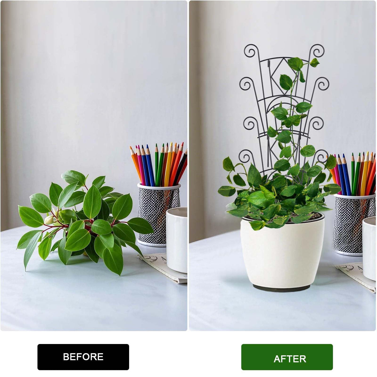 Yhtpouqe indoor-outdoor plant support for versatile placement.