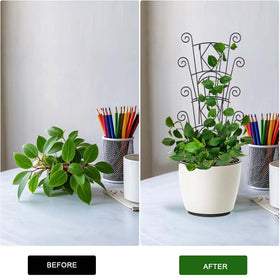 Yhtpouqe indoor-outdoor plant support for versatile placement.